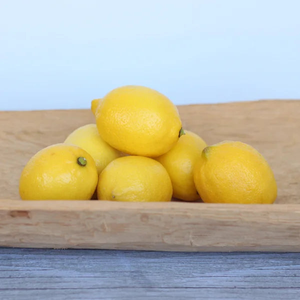 Alder & Oak Improved Meyer Lemon Tree