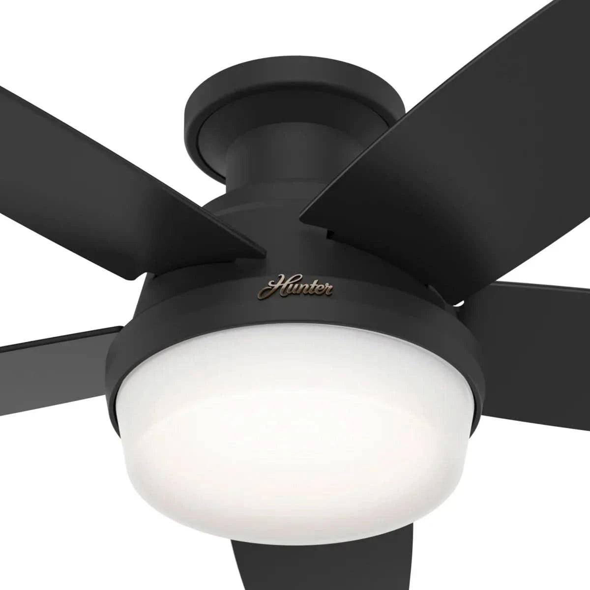 Hunter Avia Low Profile LED 48" Ceiling Fan