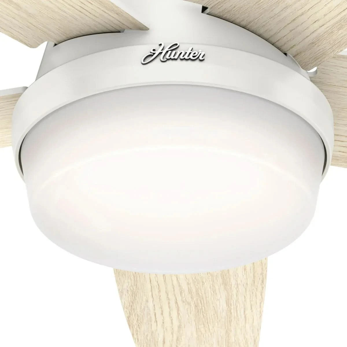 Hunter Avia Low Profile LED 48" Ceiling Fan