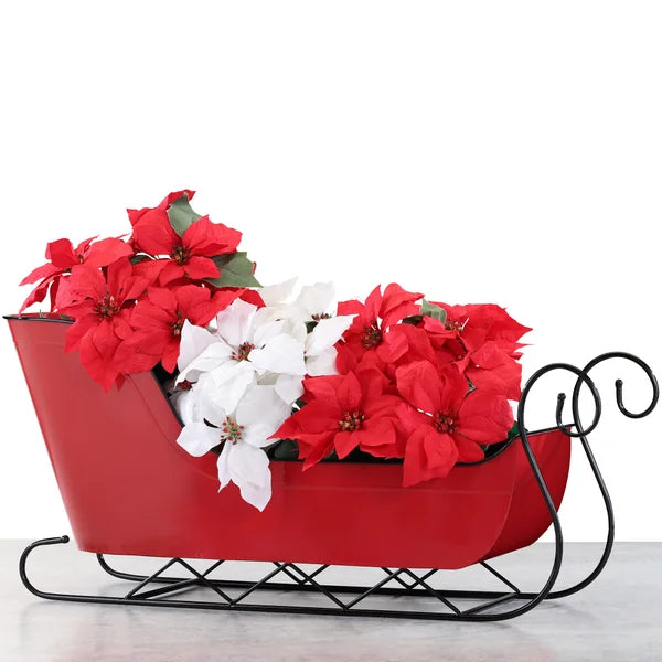 XL Holiday Sleigh,