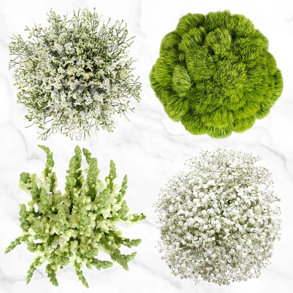 100-stem White and Green Fillers