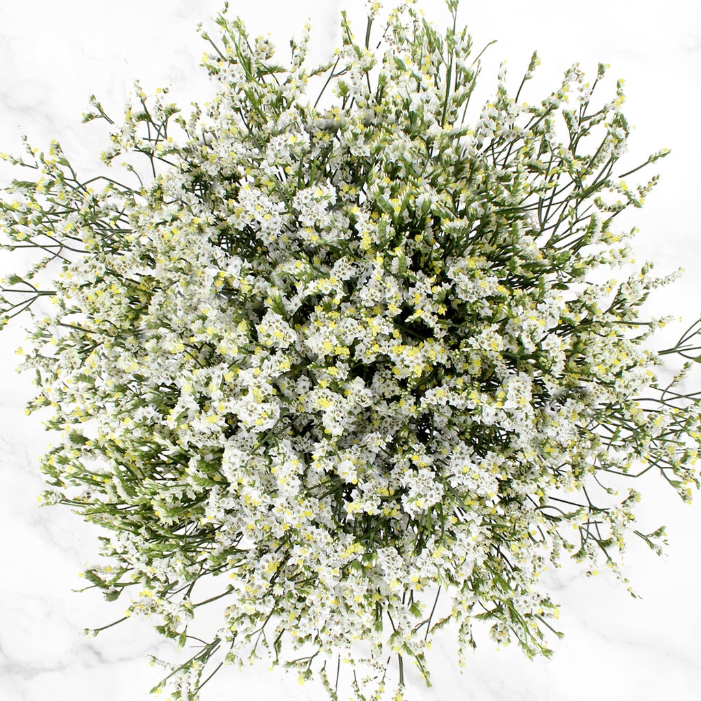 100-stem White and Green Fillers