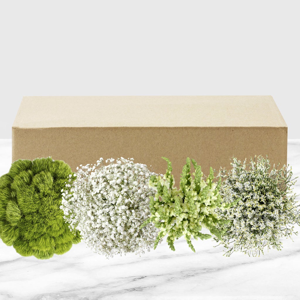 100-stem White and Green Fillers