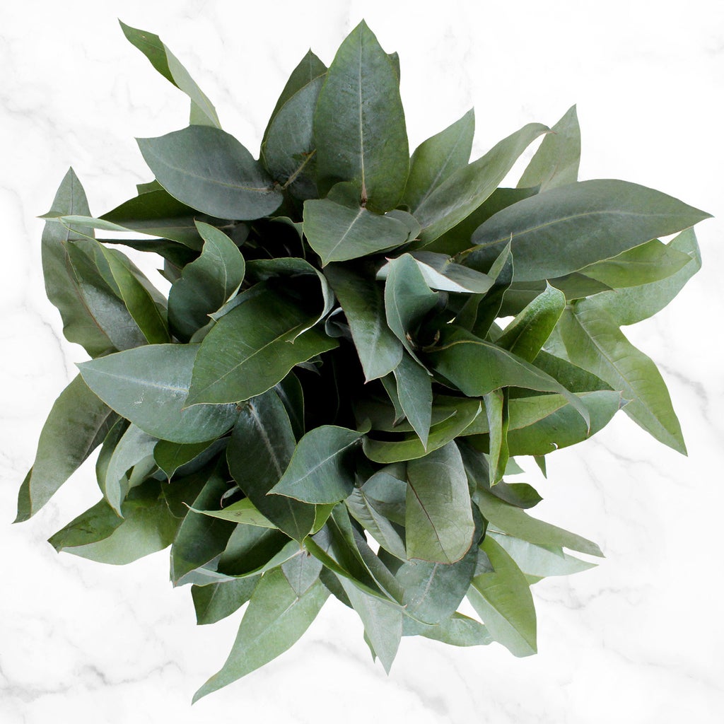 100-stem Fillers and Greens