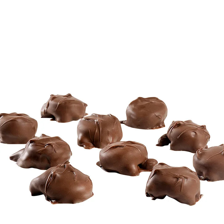 Sanders Milk Chocolate Pecan Caramel Clusters 2-Pack (32 OZ)