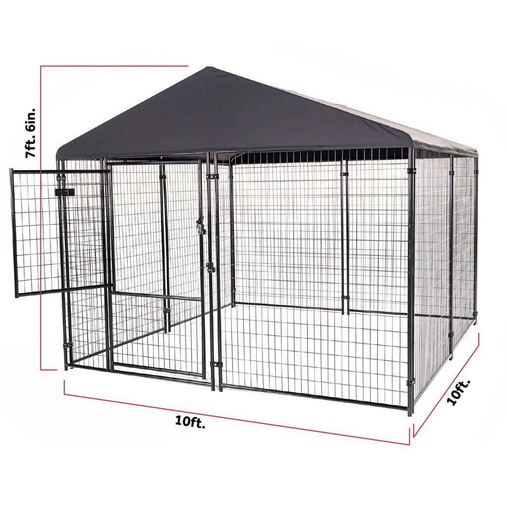 Lucky Dog STAY Series Presidential Dog Kennel 10'x10' with Privacy Screen