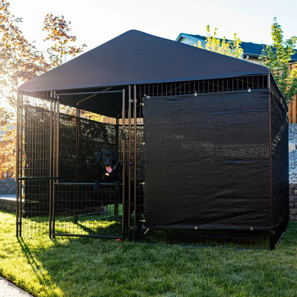 Lucky Dog STAY Series Presidential Dog Kennel 10'x10' with Privacy Screen