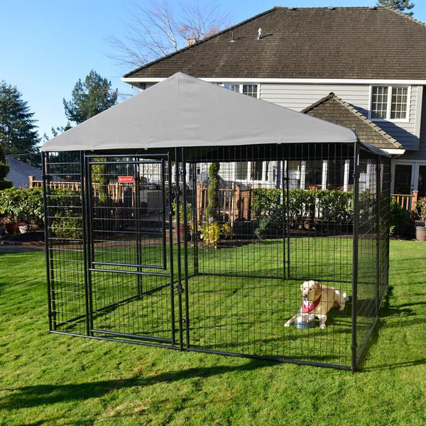 Lucky Dog STAY Series Presidential Dog Kennel 10'x10' with Privacy Screen