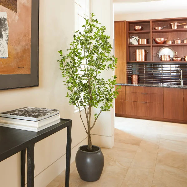 Faux 6.5' Ficus Tree