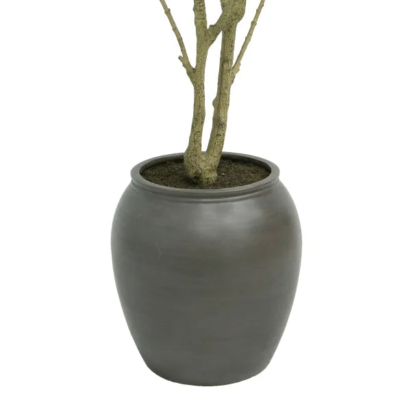 Faux 6.5' Ficus Tree