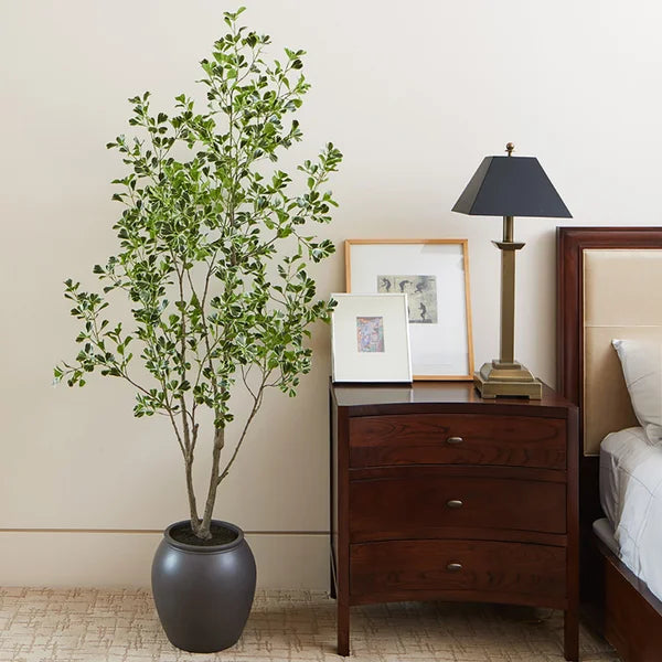 Faux 6.5' Ficus Tree