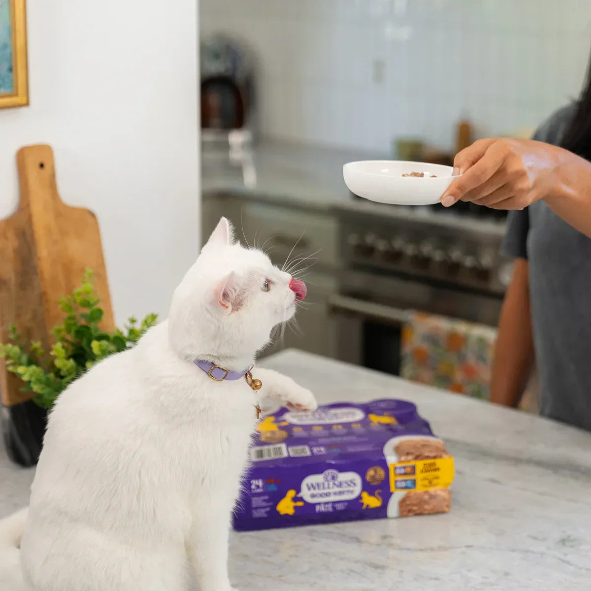 Wellness Good Kitty Wet Cat Food Pate Variety Pack, 3 oz, 24-count