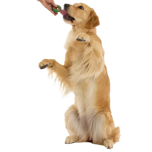 BARK Howly Jowly Holidays Advent Calendar for Dogs