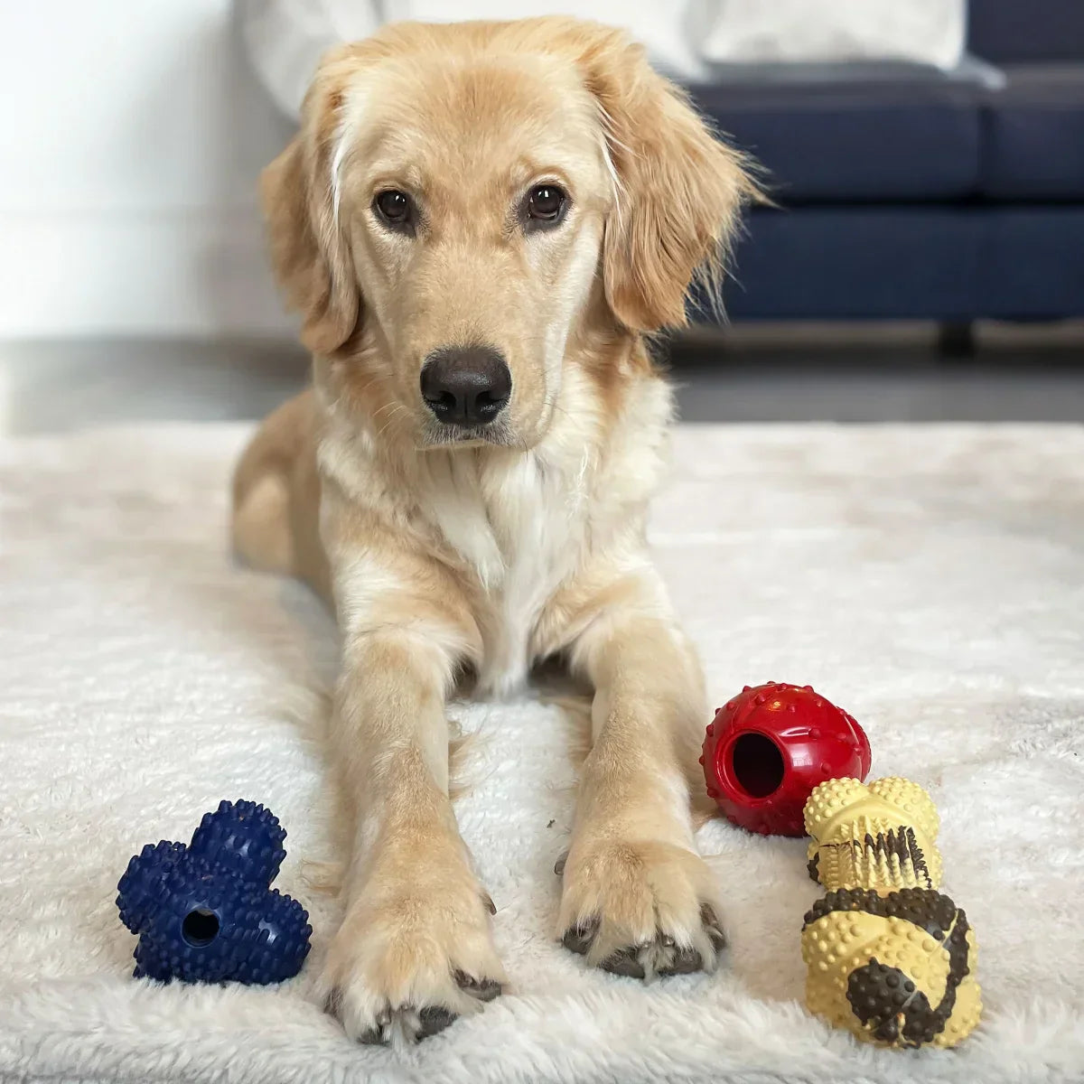 Nylabone Super Tough Rubber Dog Toys, Variety Pack, 3-pack