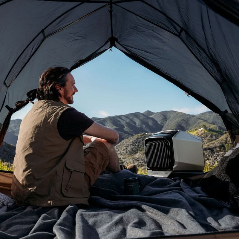 EcoFlow WAVE 2 + Add-on Battery + 2PCS 160W Solar Panel Kits