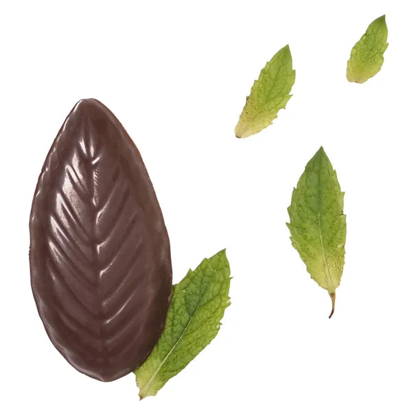 A'Cappella After Dinner Mints, 2-pack, 44 Total Mints, 10 oz. Total