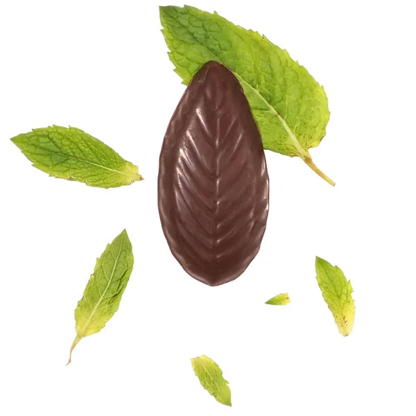 A'Cappella After Dinner Mints, 2-pack, 44 Total Mints, 10 oz. Total