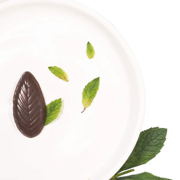 A'Cappella After Dinner Mints, 2-pack, 44 Total Mints, 10 oz. Total