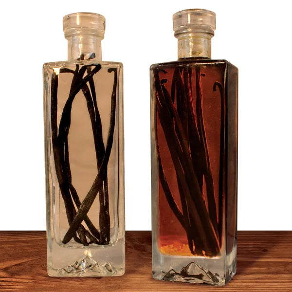 VanillaPura Vanilla Extract Making Gift Box