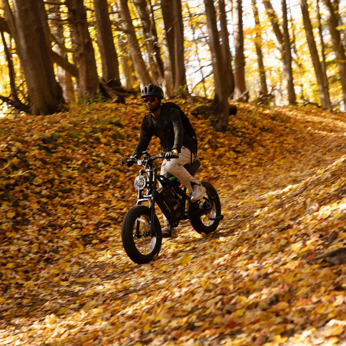 Greenworks 80V VENTURE Series E-Bike