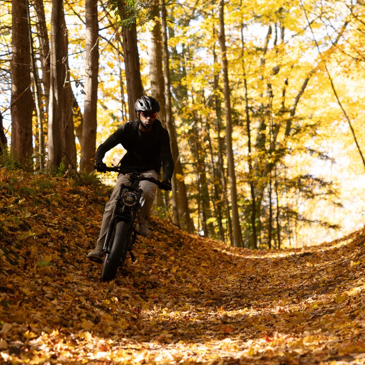 Greenworks 80V VENTURE Series E-Bike