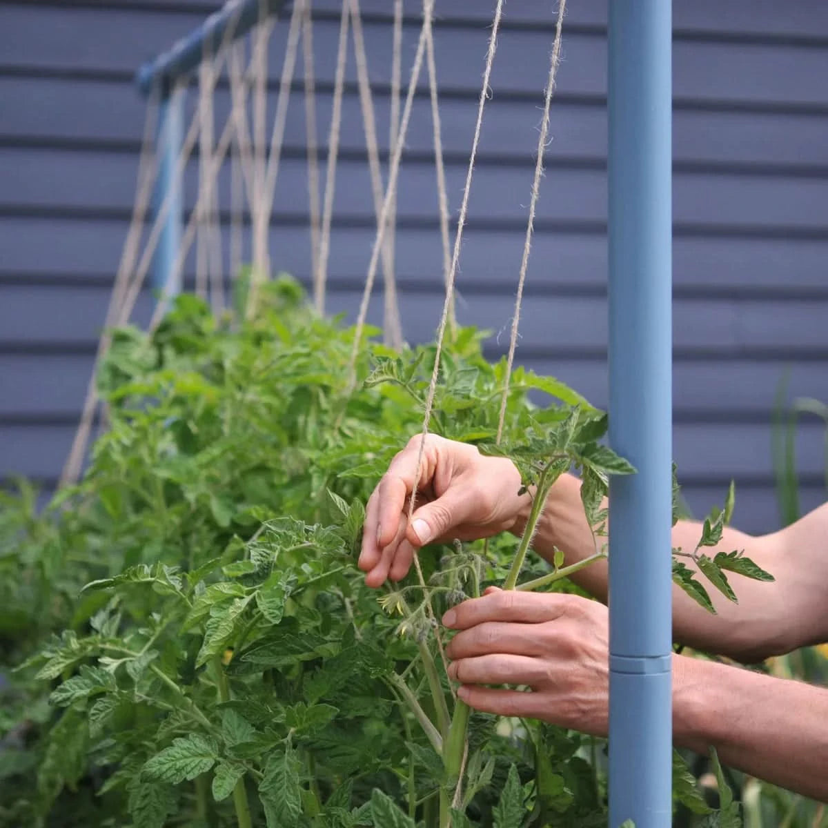 Freyr Garden Trellis Kit