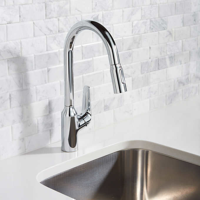 Hansgrohe Focus N Single-Handle Pull-Down Sprayer Kitchen Faucet
