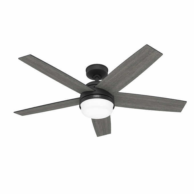Hunter Asheville 52” Ceiling Fan – Indoor / Outdoor
