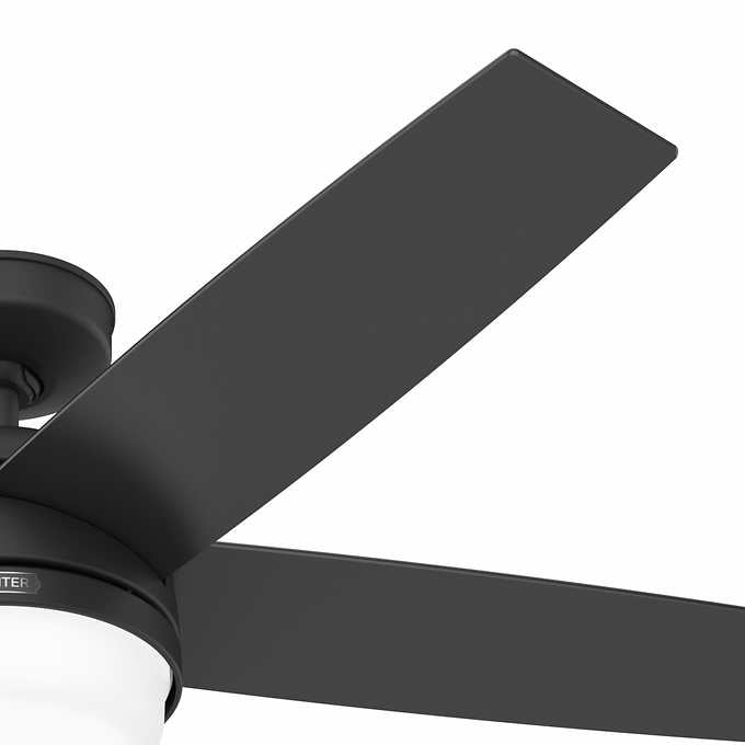 Hunter Asheville 52” Ceiling Fan – Indoor / Outdoor