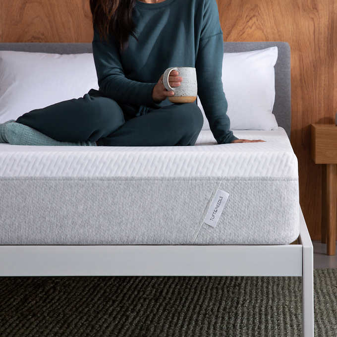 Tuft & Needle 9.5" Memory Foam Mattress