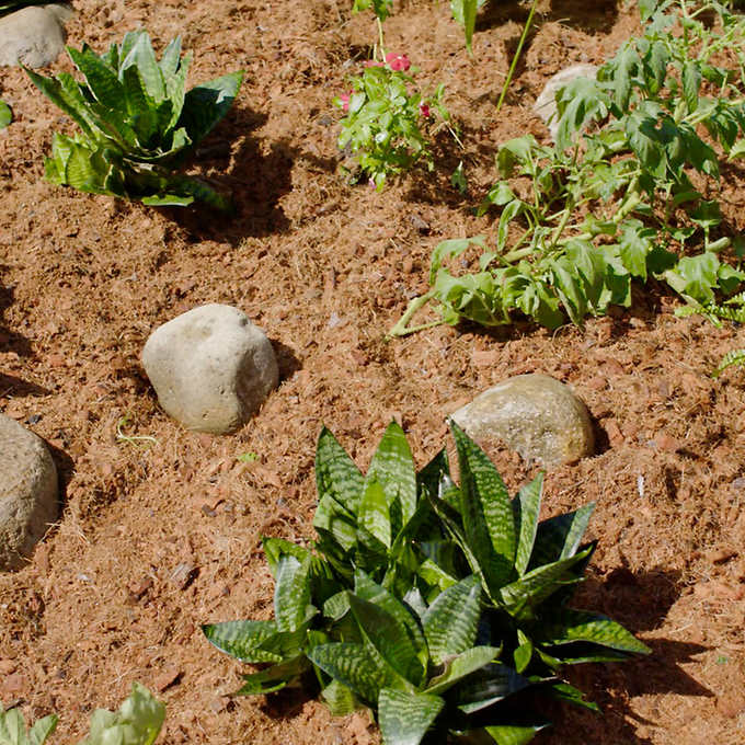 MegaMulch Expanding Coconut Coir, 2-pack