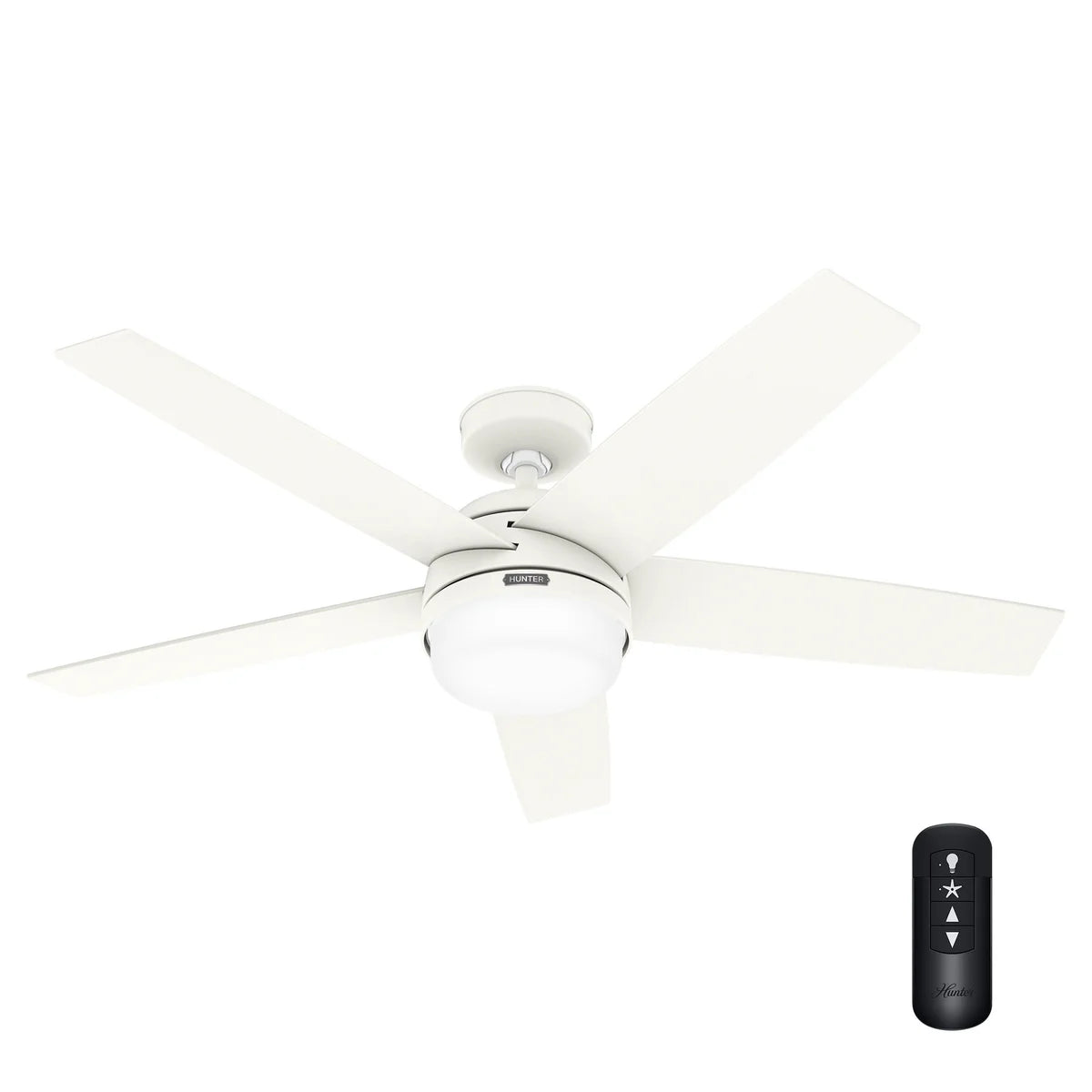 Hunter Asheville 52” Ceiling Fan – Indoor / Outdoor