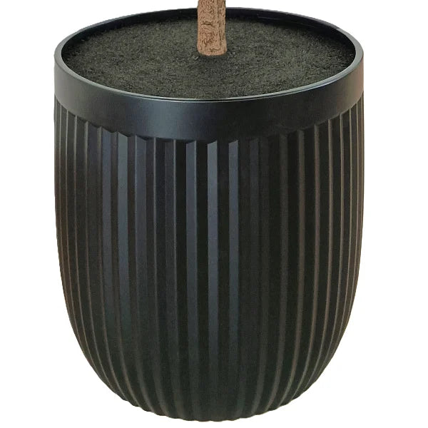 Faux 4' UV Resistant Boxwood Topiary Tree Indoor and Outdoor