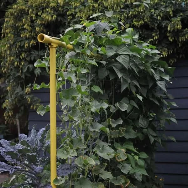 Freyr Garden Trellis Kit