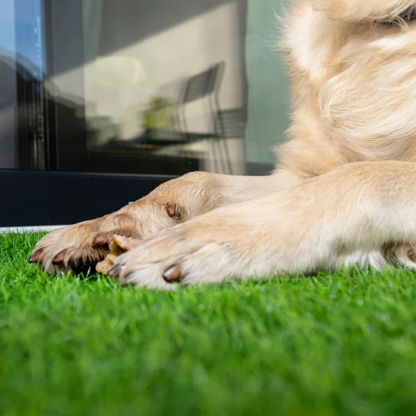 PreGra 50 oz Premium Artificial Turf