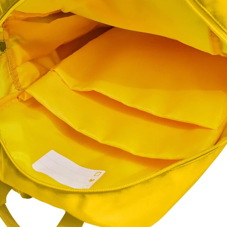 Lego Expandable Carry-on & Backpack Luggage Set