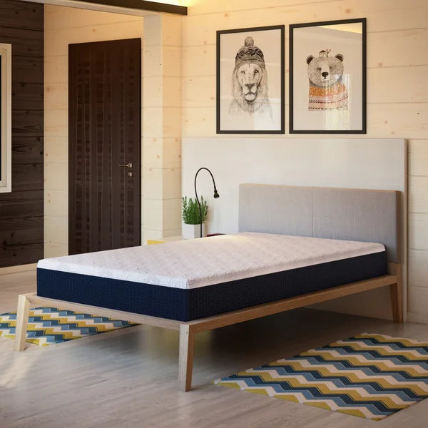 Comfort Tech 10" Serene Foam II Mattress, 2-pk