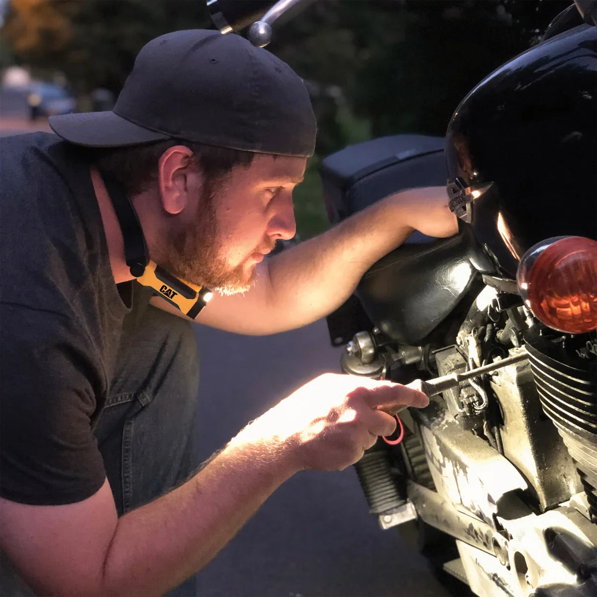 CAT LED Neck Light, 2-pack