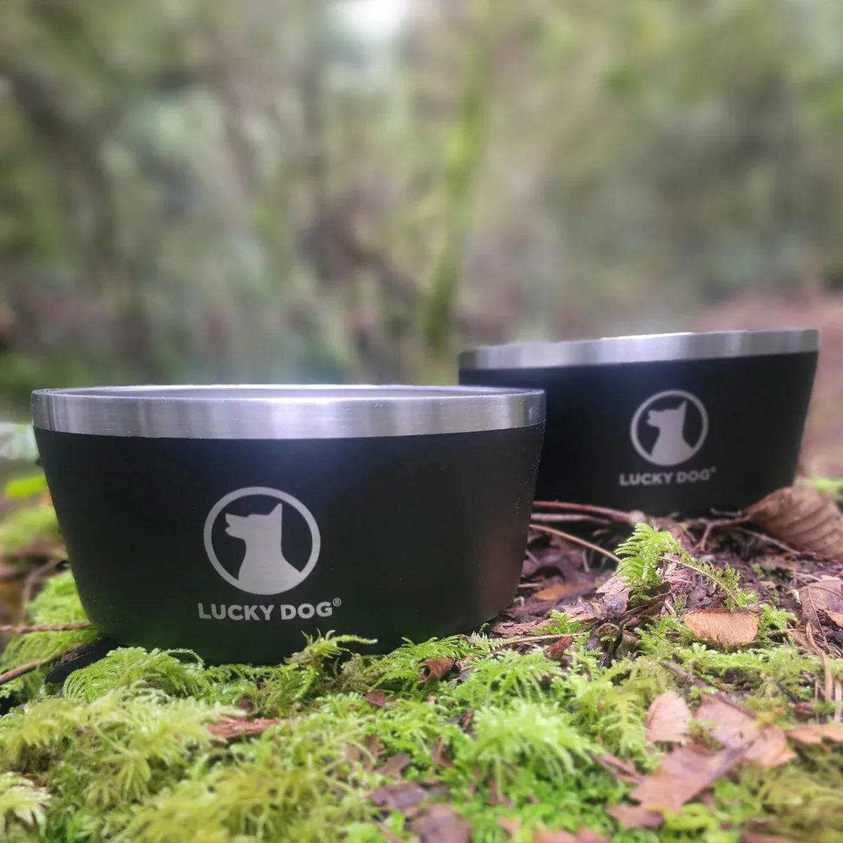 Lucky Dog Indulge 8, Double Wall 8 Cup Stainless Steel Dog Bowl, 2-pack