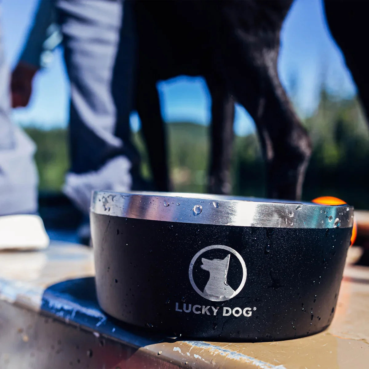 Lucky Dog Indulge 8, Double Wall 8 Cup Stainless Steel Dog Bowl, 2-pack