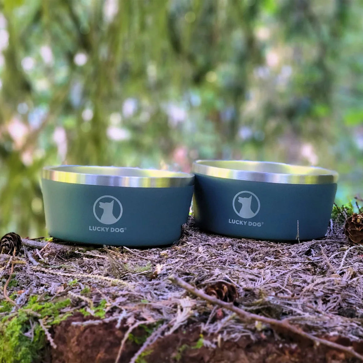 Lucky Dog Indulge 8, Double Wall 8 Cup Stainless Steel Dog Bowl, 2-pack