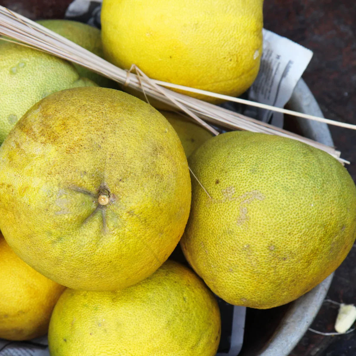 Tahitian Pomelo Semi-Dwarf Tree