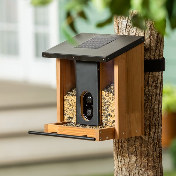Smart Solar Bird Feeder
