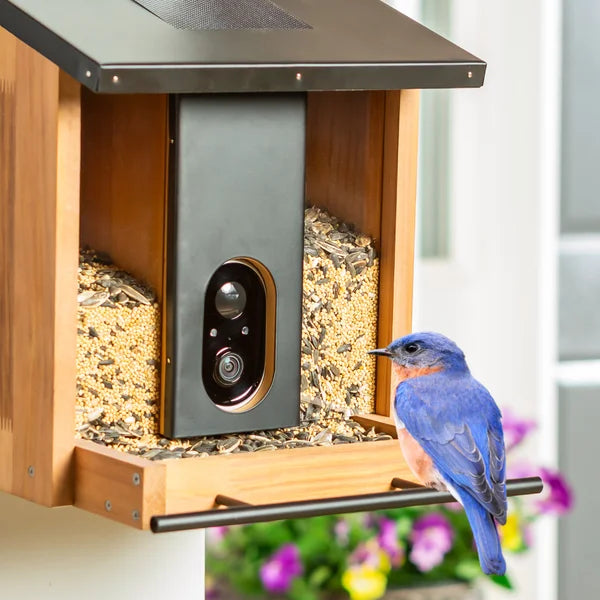 Smart Solar Bird Feeder
