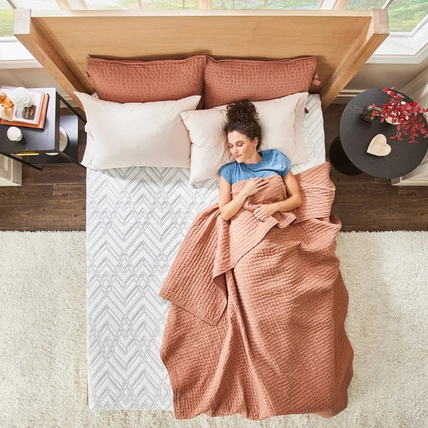 Novaform Advanced Back Support Plus 12” Responsive Foam Mattress