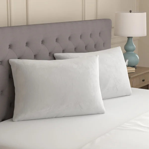 Sealy Sterling Huggable Pillow Standard, 2-pack