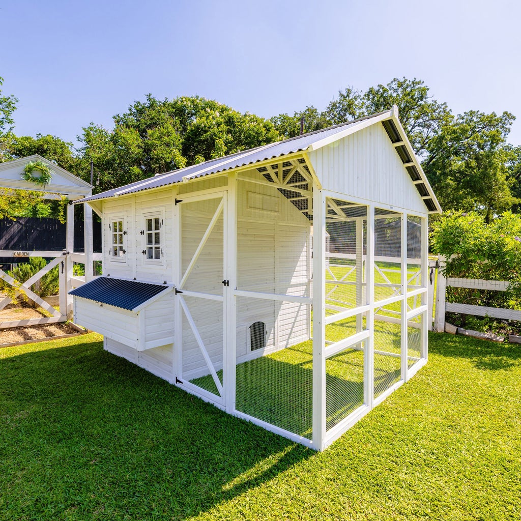 Zylina Modern Chicken Barn