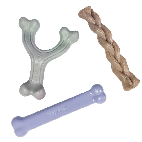 Nylabone Ocean Chew Dog Toy Collection, 3-count