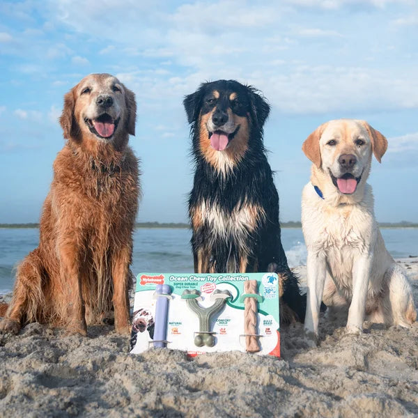 Nylabone Ocean Chew Dog Toy Collection, 3-count