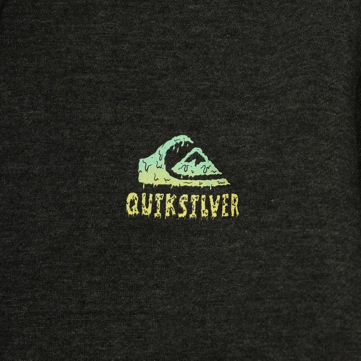 Quiksilver Youth Plush Lined Hoodie